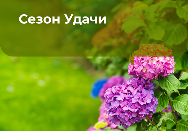 Сезон удачи. Как выбрать поливочный шланг